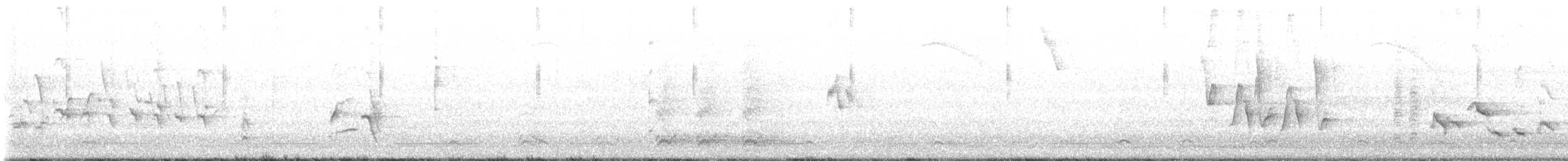 Miaulari grisa - ML621457143