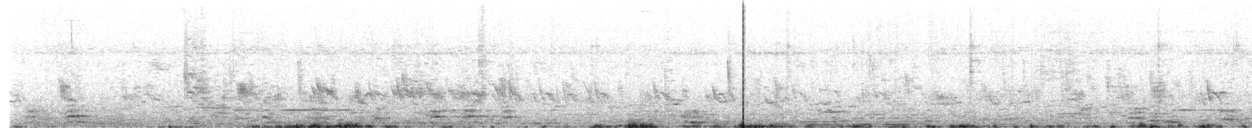 キューバムラサキツバメ - ML621459898