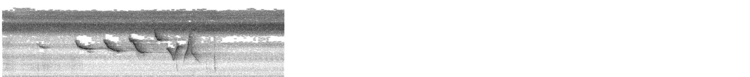 Swainson's Warbler - ML621466093