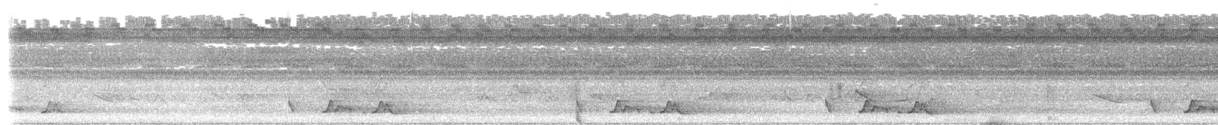 Chuck-will's-widow - ML621466131