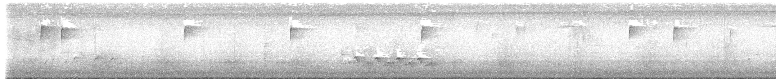 チャバラマユミソサザイ - ML621471409