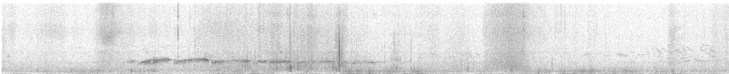 チシマシギ（ptilocnemis） - ML621479055