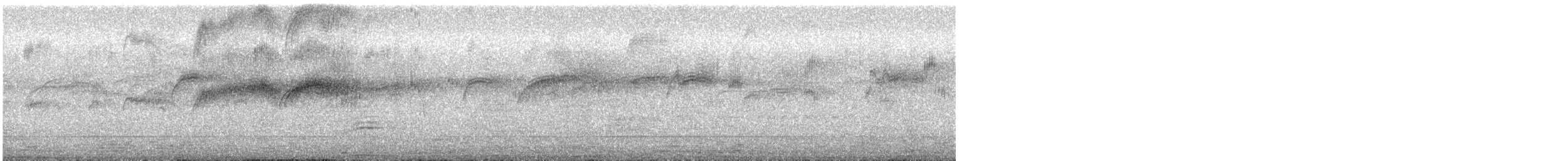 Common Swift - ML621479284
