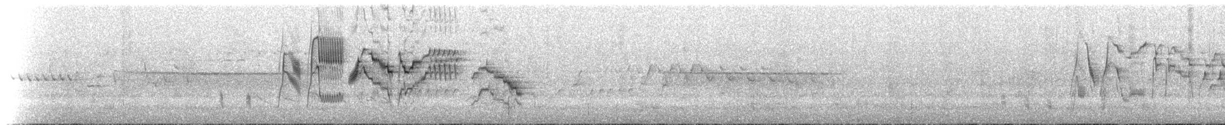 Bicknell Bülbül Ardıcı - ML621483570