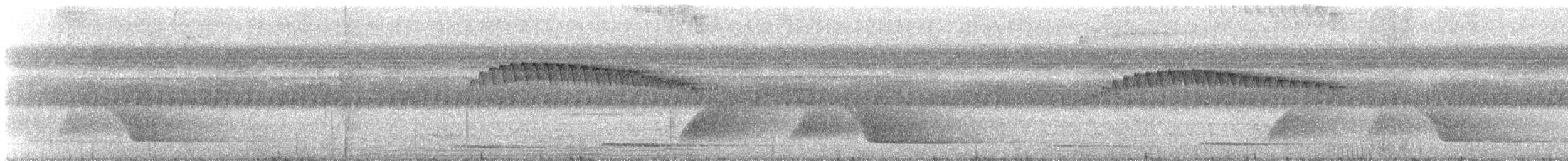 Rufous-backed Stipplethroat (Rufous-backed) - ML621485748
