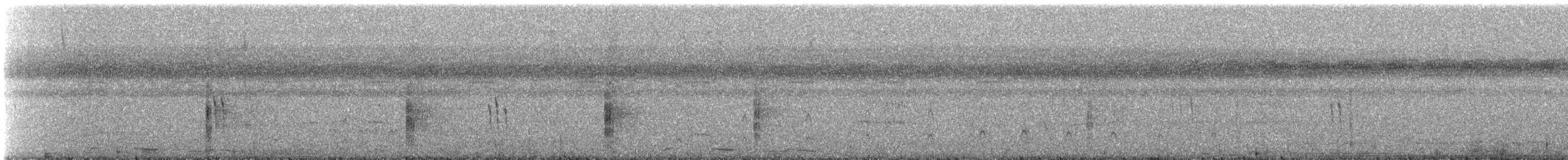 White-banded Swallow - ML621485806