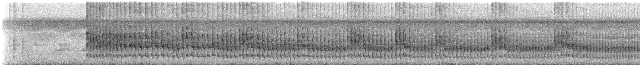Plain Softtail (dimorpha) - ML621485841