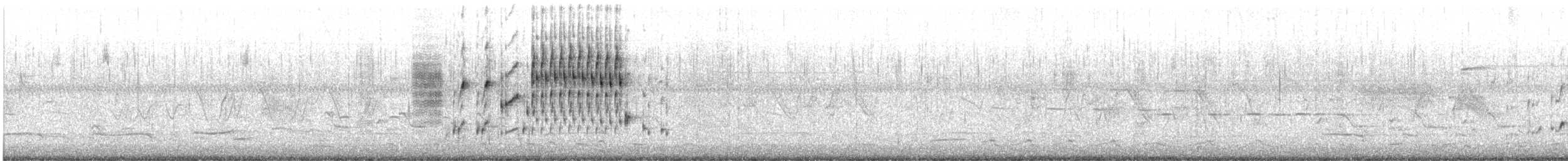 Marsh Wren - ML621490675