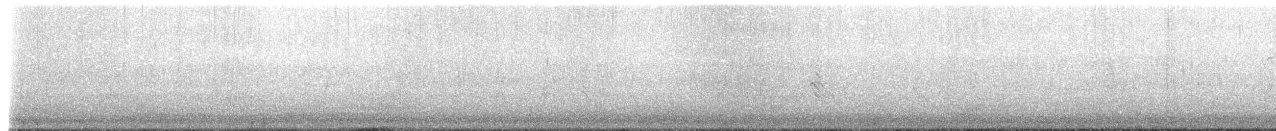 Ясківка білолоба [група pyrrhonota] - ML621494753