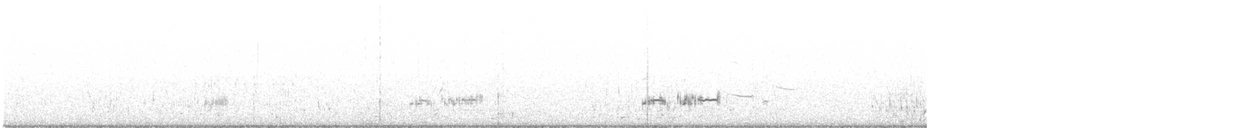 Western Grebe - ML621495841