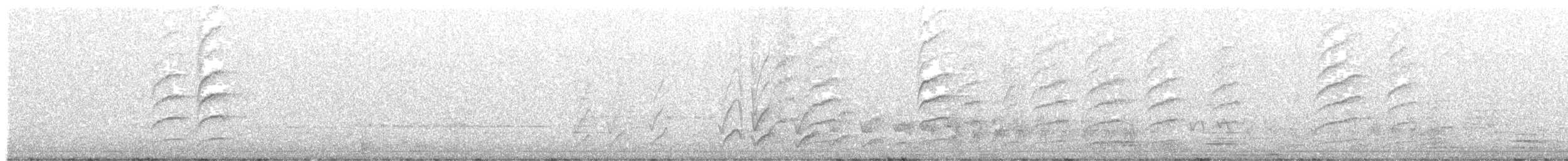 medosavka australská - ML621496062