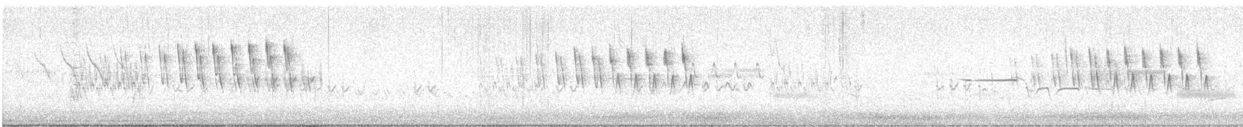 Wilson's Warbler (pileolata) - ML621496190