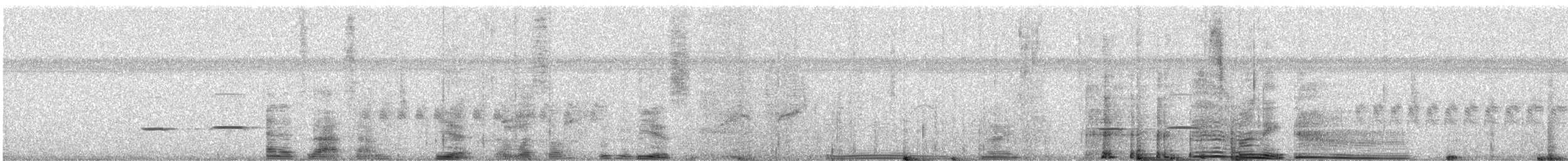 Striped Cuckoo - ML621496633