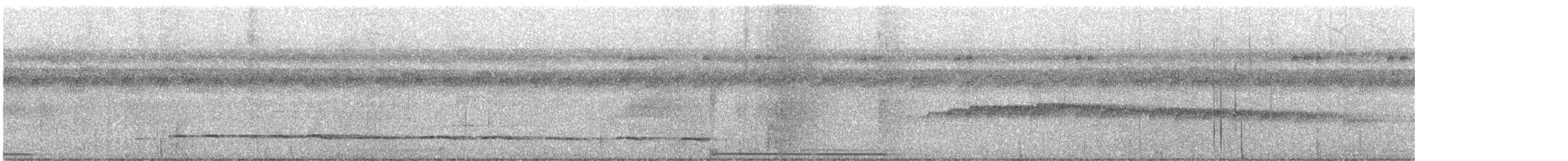 Tororoí de Anteojos (perspicillatus) - ML621497698