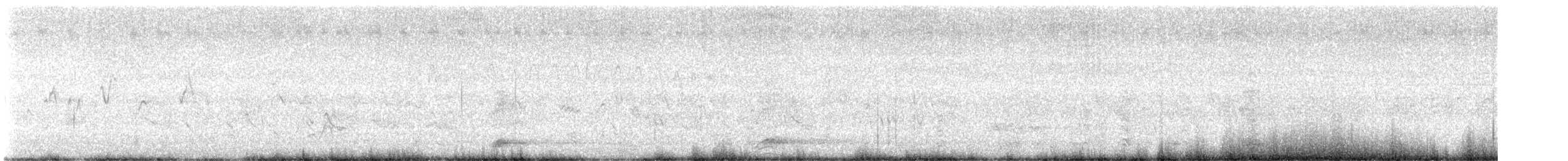 Black-crowned Night Heron - ML621500144