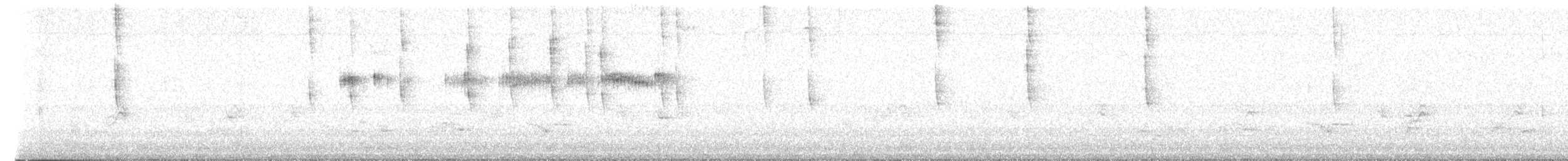 Широкохвостый колибри - ML621501242
