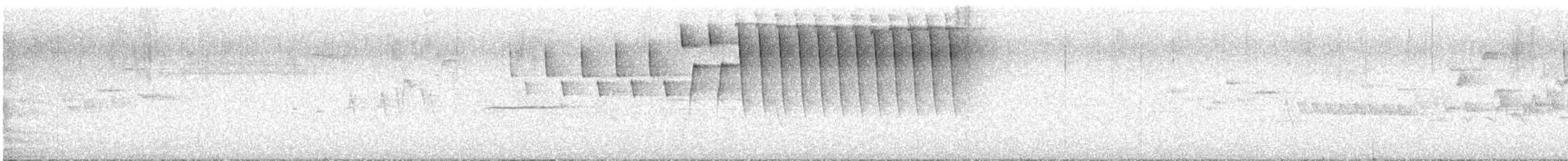 Tennessee Warbler - ML621502676