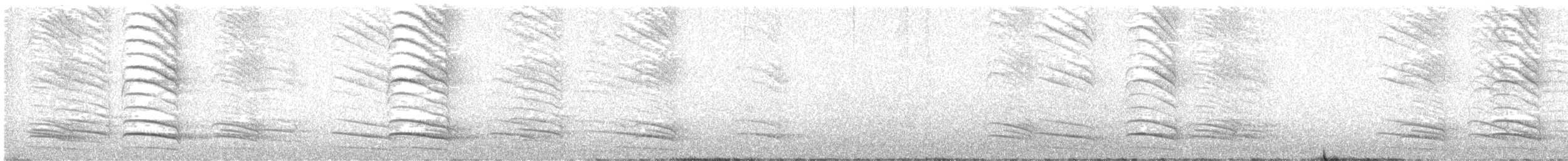 Clark's Nutcracker - ML621503771