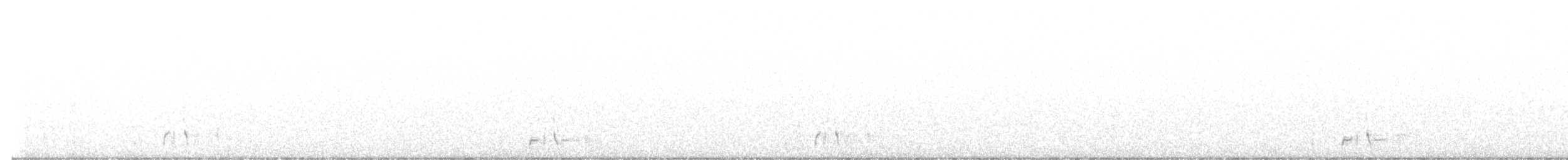 Lichtenstein's Sandgrouse - ML621508511