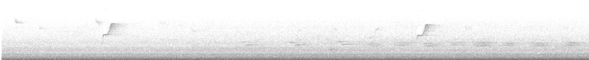 Western Flycatcher (Pacific-slope) - ML621509528