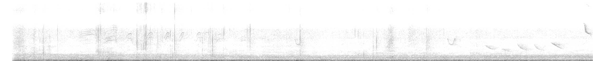 Colibri d'Angèle - ML621511837