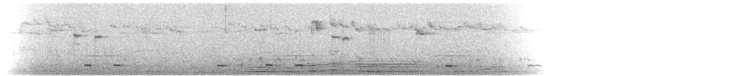 Yellow-billed Pintail - ML621516203