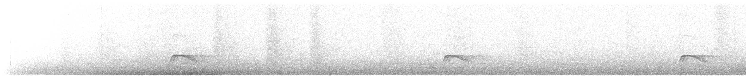 White-crested Elaenia - ML621516971