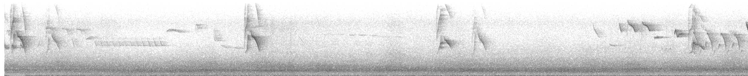 Lavandera Boyera (flavissima) - ML621517692
