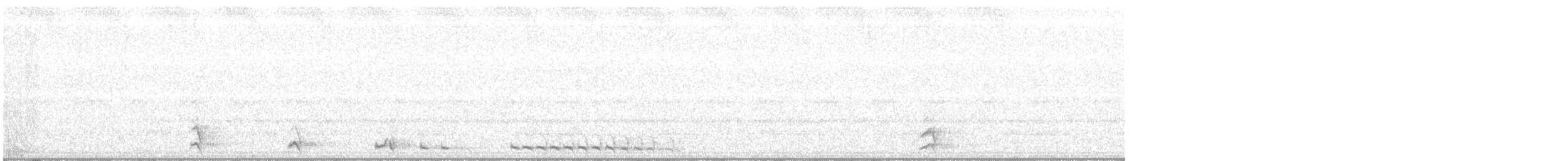 Western Screech-Owl - ML621519535