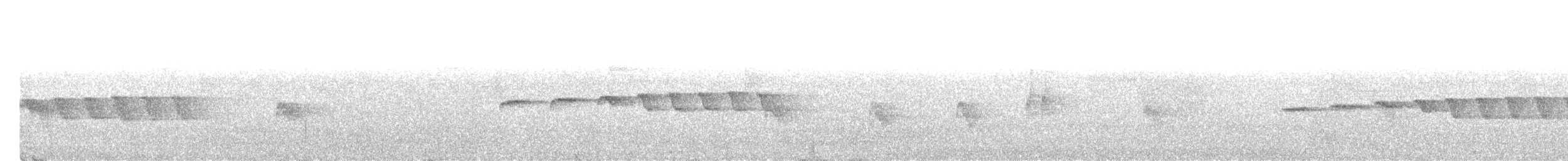 Boz Kanatlı Karıncakuşu - ML621520634