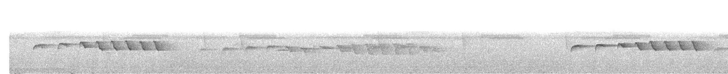 Grauscheitel-Ameisenvogel - ML621520641