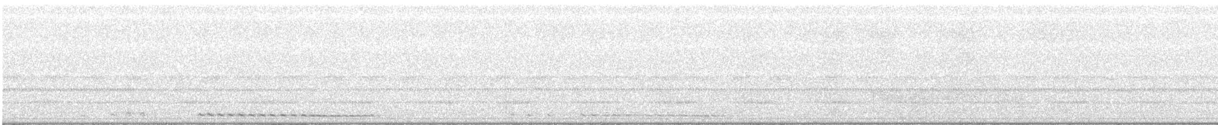 Western Screech-Owl - ML621520664