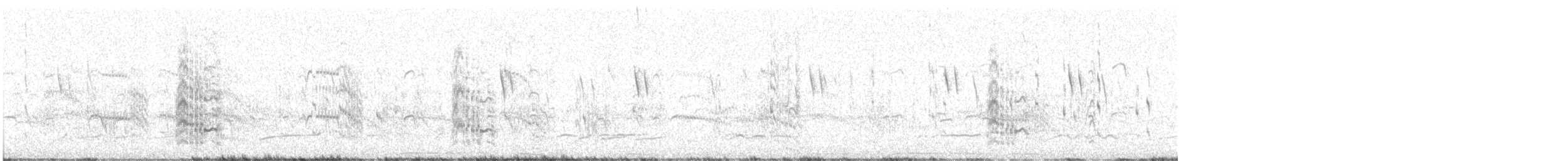 Пестроносая крачка (sandvicensis) - ML621520762