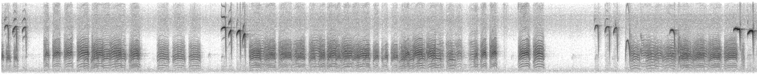 Black-capped Chickadee - ML621521173