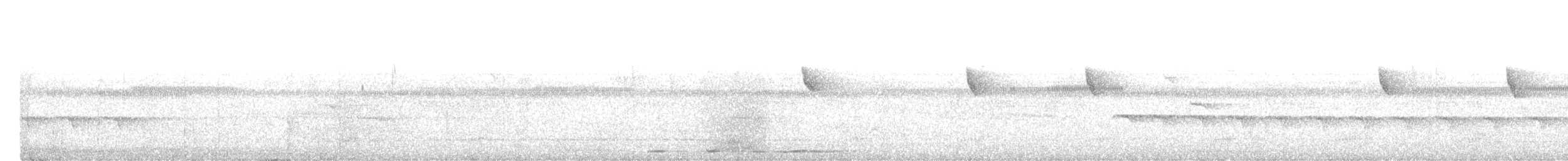Kara Başlı Todi Sinekkapanı - ML621521411