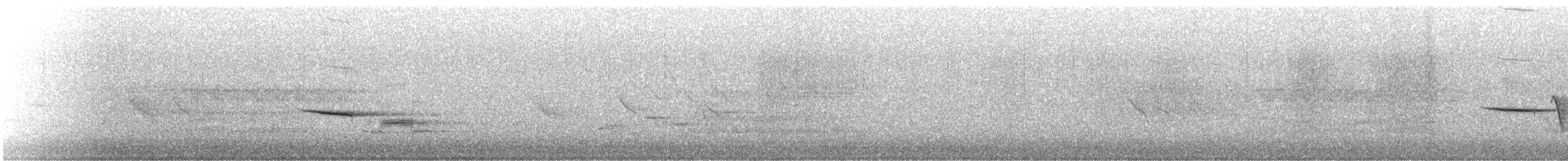 Дрозд-отшельник - ML621521737
