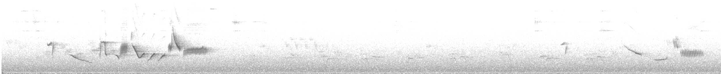 Пестрогрудая овсянка [группа schistacea] - ML621521806
