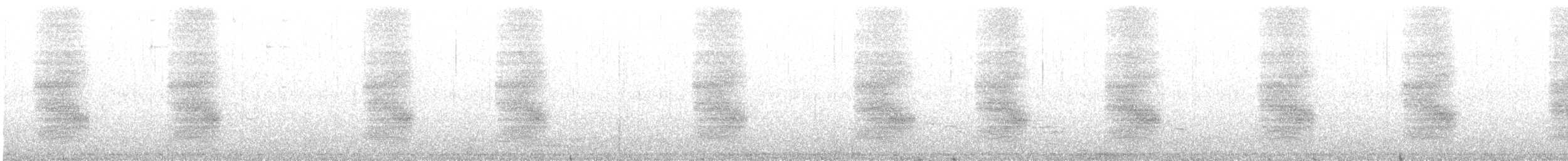 Steller Kargası - ML621521926