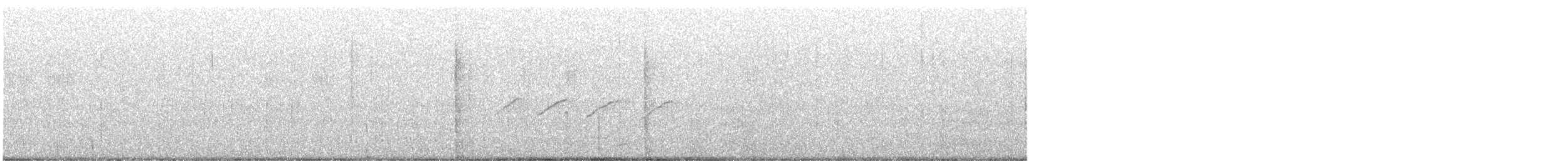 Набережник плямистий - ML621522048