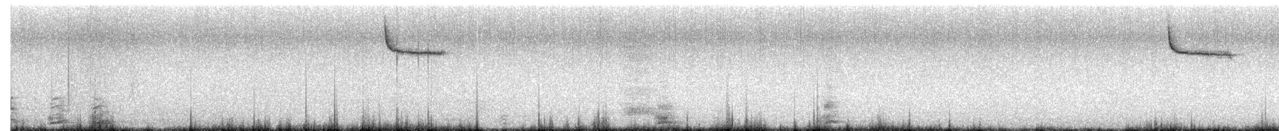 Остроклювый овсяночник - ML621523395