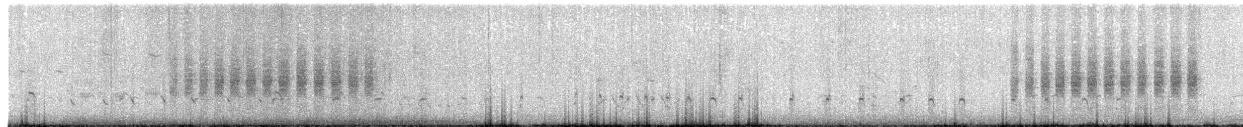 Black-tailed Gnatcatcher - ML621523594