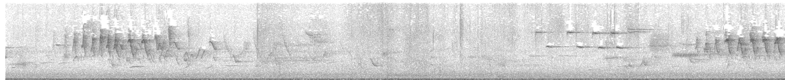 Paruline à calotte noire - ML621524100