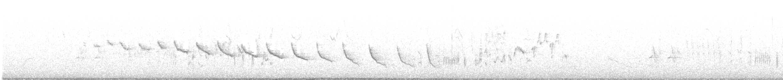 Troglodyte des canyons - ML621524777