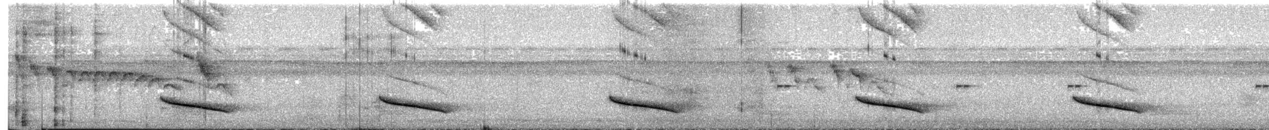 Ak Kulaklı Koca Vireo - ML621524960