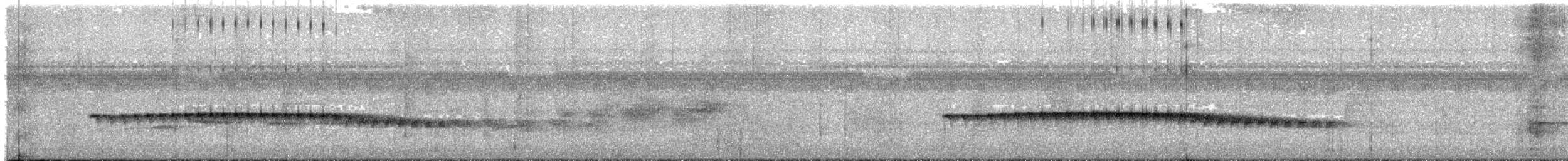 Grauwangen-Ameisenvogel - ML621525179