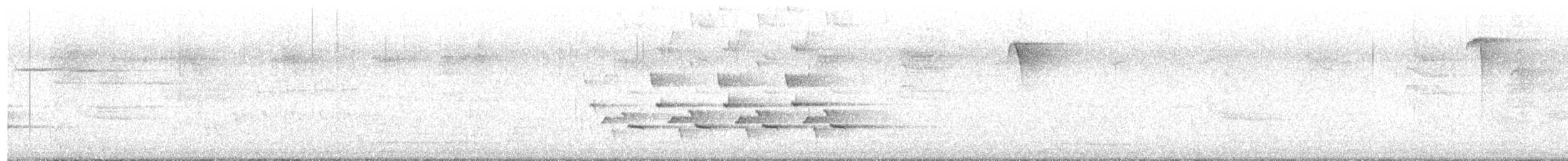 Поплітник каролінський - ML621525280