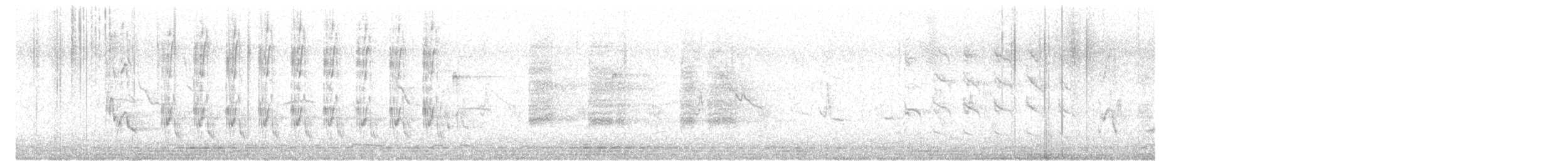 halsbåndfrankolin (henrici gr.) - ML621525538