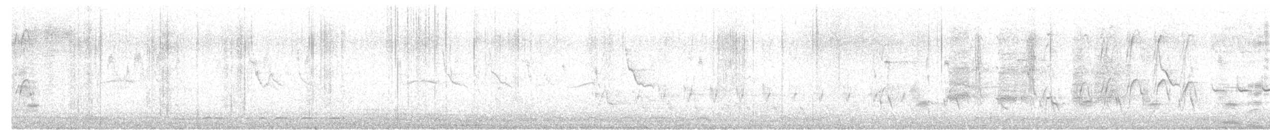 Halsbandfrankolin [henrici-Gruppe] - ML621525576