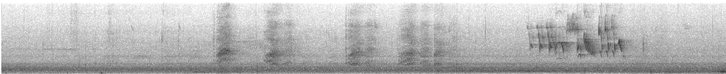 Rostscheitelammer - ML621525648
