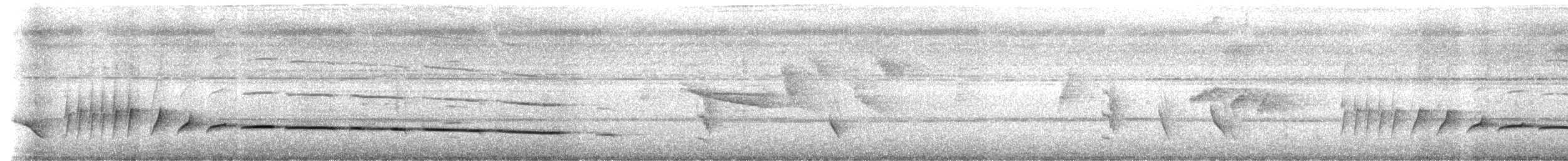 Короткохвостый шелкопёр - ML621526924